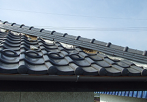 ���t�H�[�����k�ق��Z�����f�f